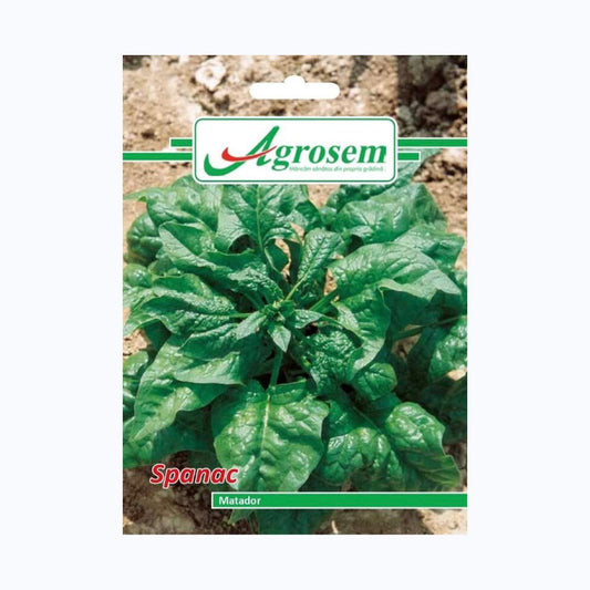 Seminte Spanac MATADOR, AGROSEM - 18 GR, Soi Semi-Tardiv