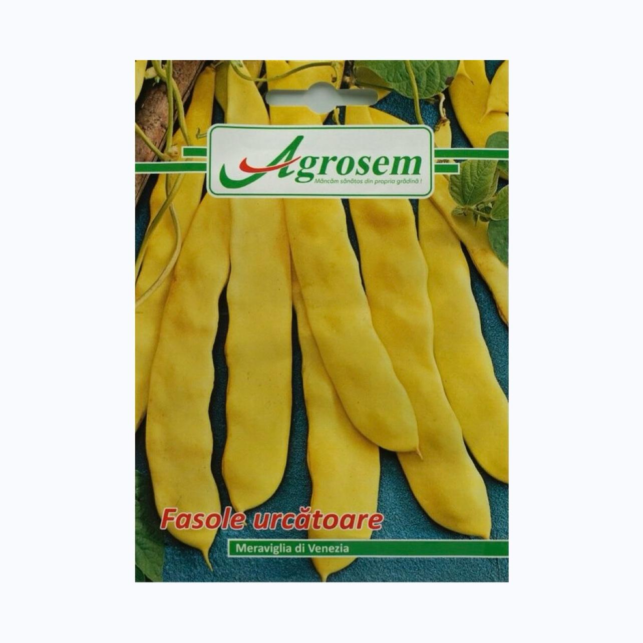 Seminte Fasole Urcatoare MERAVIGLIA DI VENEZIA, AGROSEM – 10 GR