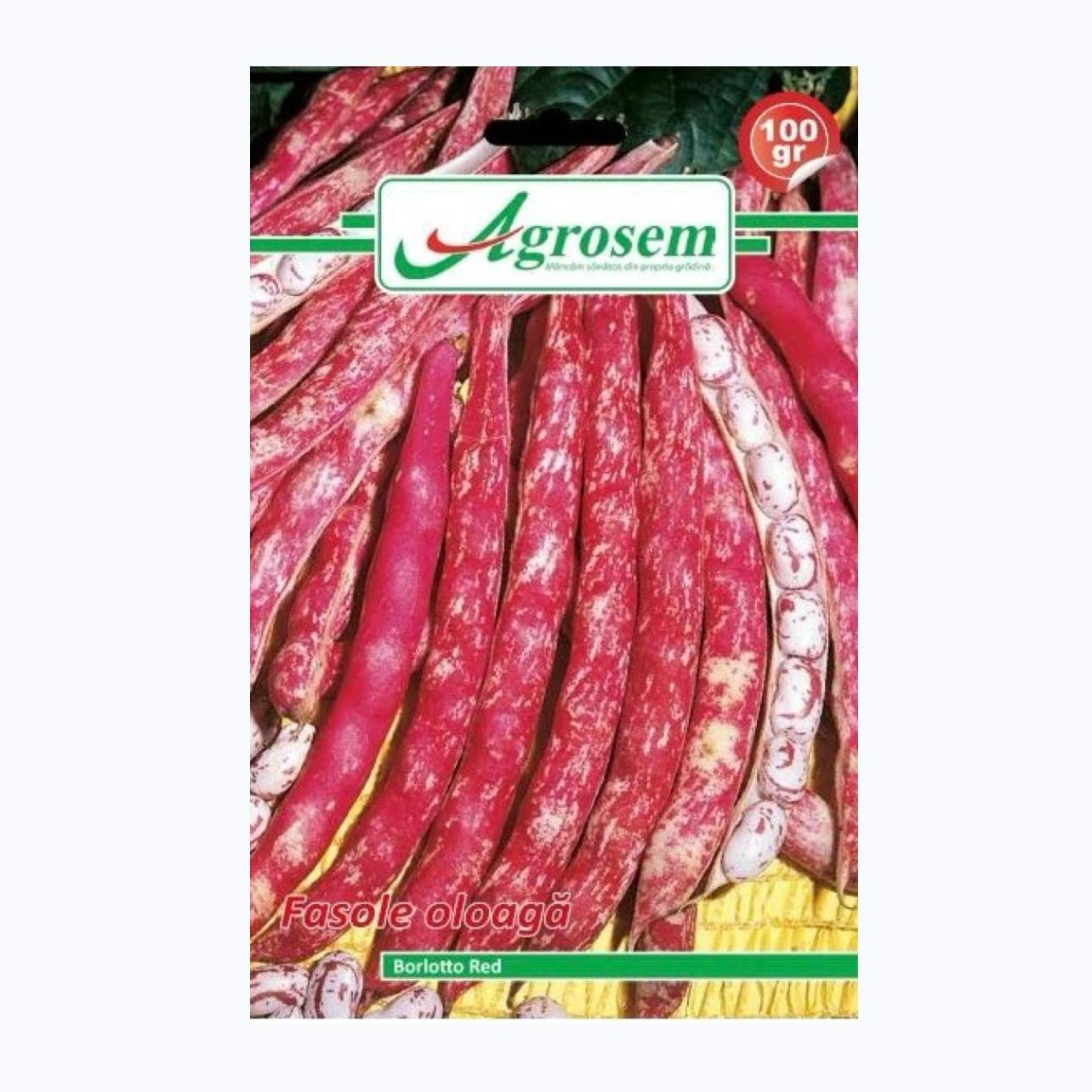 Seminte Fasole Oloaga BORLOTTO RED, AGROSEM - 100 GR