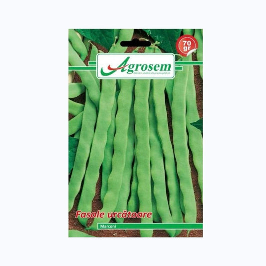 Seminte Fasole Urcatoare MARCONI, AGROSEM – 70 GR, Păstăi Lungi si Verzi