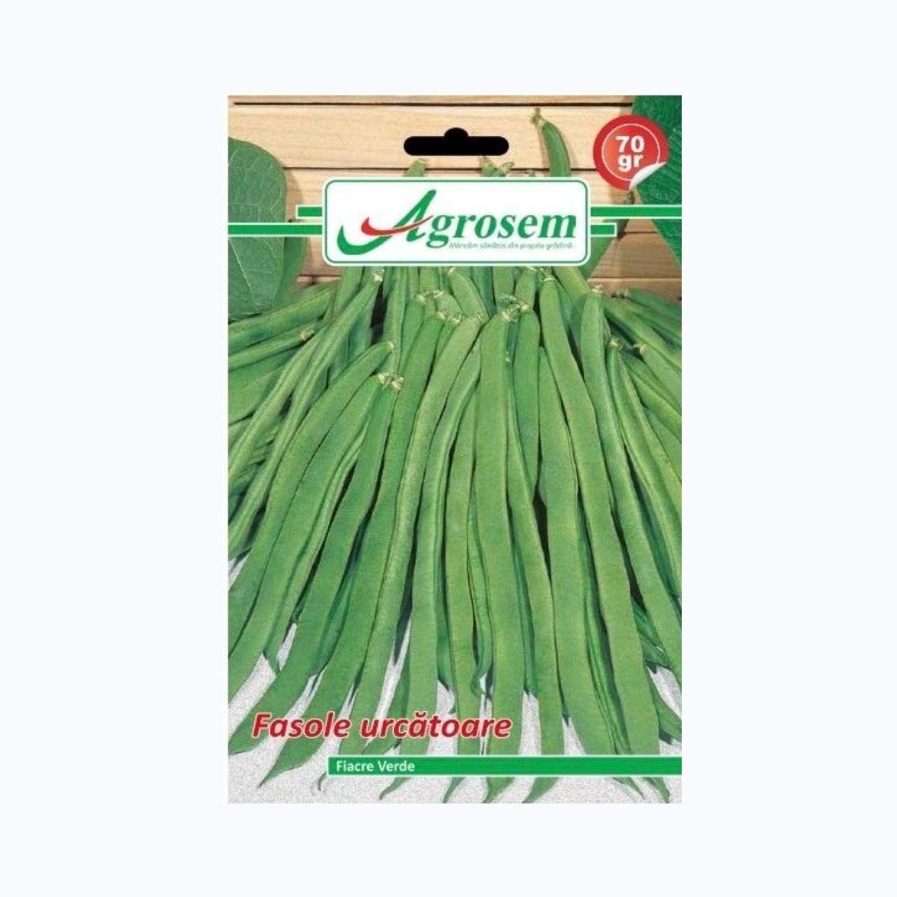 Seminte Fasole Urcatoare FIACRE VERDE, AGROSEM – 70 GR