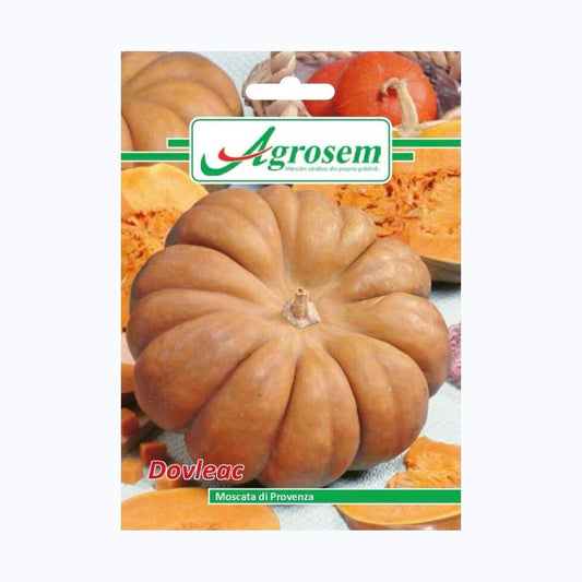 Seminte Dovleac MOSCATA PROVENZA, AGROSEM - 2 GR