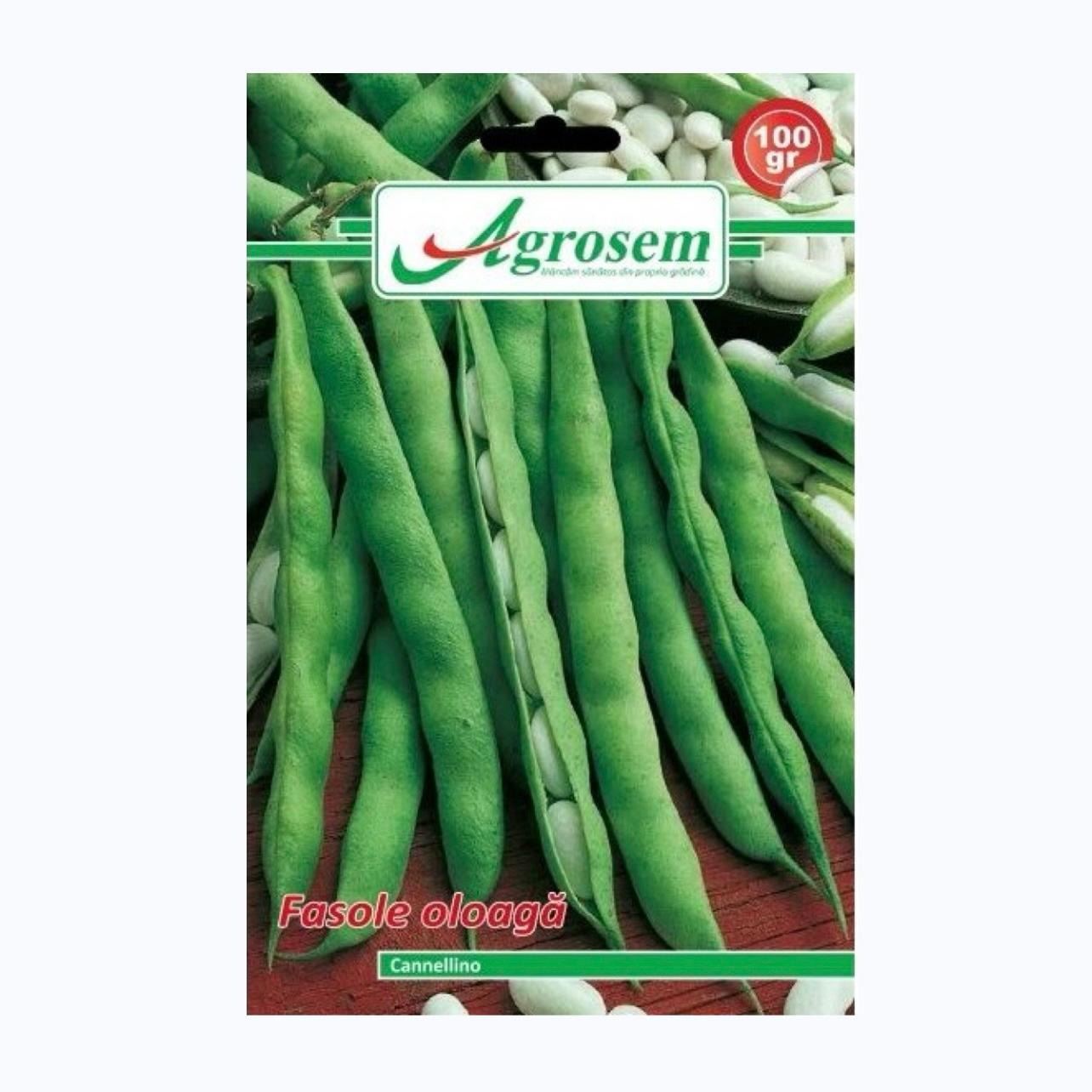 Seminte Fasole Oloaga CANNELLINO, AGROSEM – 100 GR