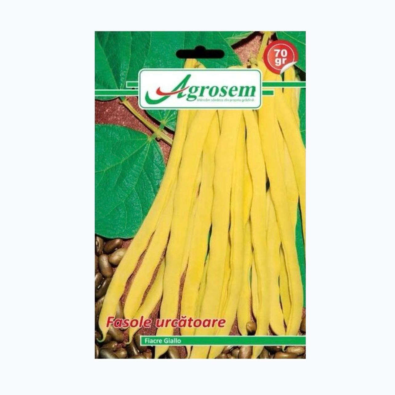 Seminte Fasole Urcatoare FIACRE GIALLO, AGROSEM – 70 GR