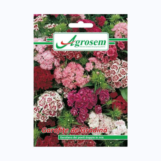Seminte Flori GAROFIŢE DE GRĂDINĂ MIX (Floarea Zeilor), AGROSEM – 0.3 GR