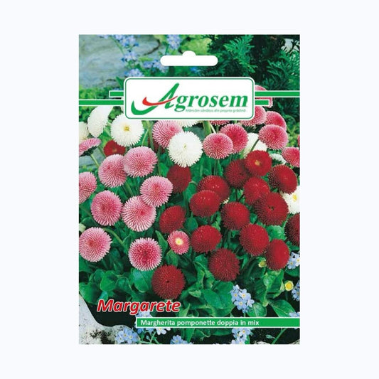 Seminte Flori MARGARETE, AGROSEM – 0.1 GR