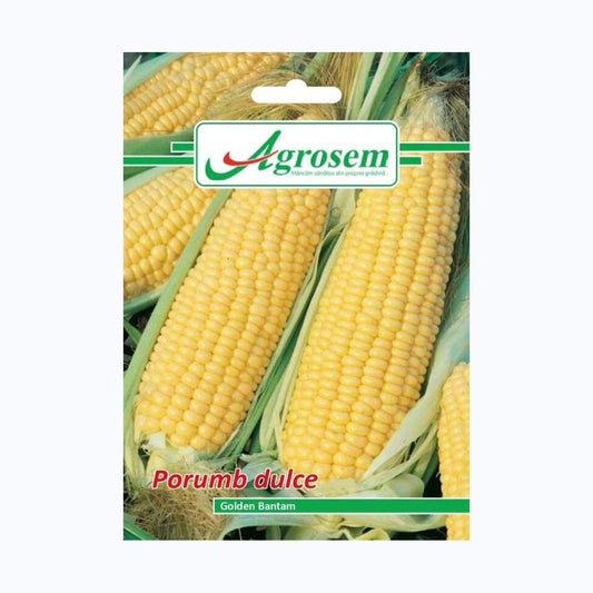 Seminte Porumb Dulce GOLDEN BANTAM, AGROSEM - 10 GR, Soi Timpuriu, Boabe Foarte Dulci