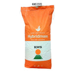 KWS 2370, FAO 290, ClimaControl3, Samanta porumb (sac 50.000 boabe)