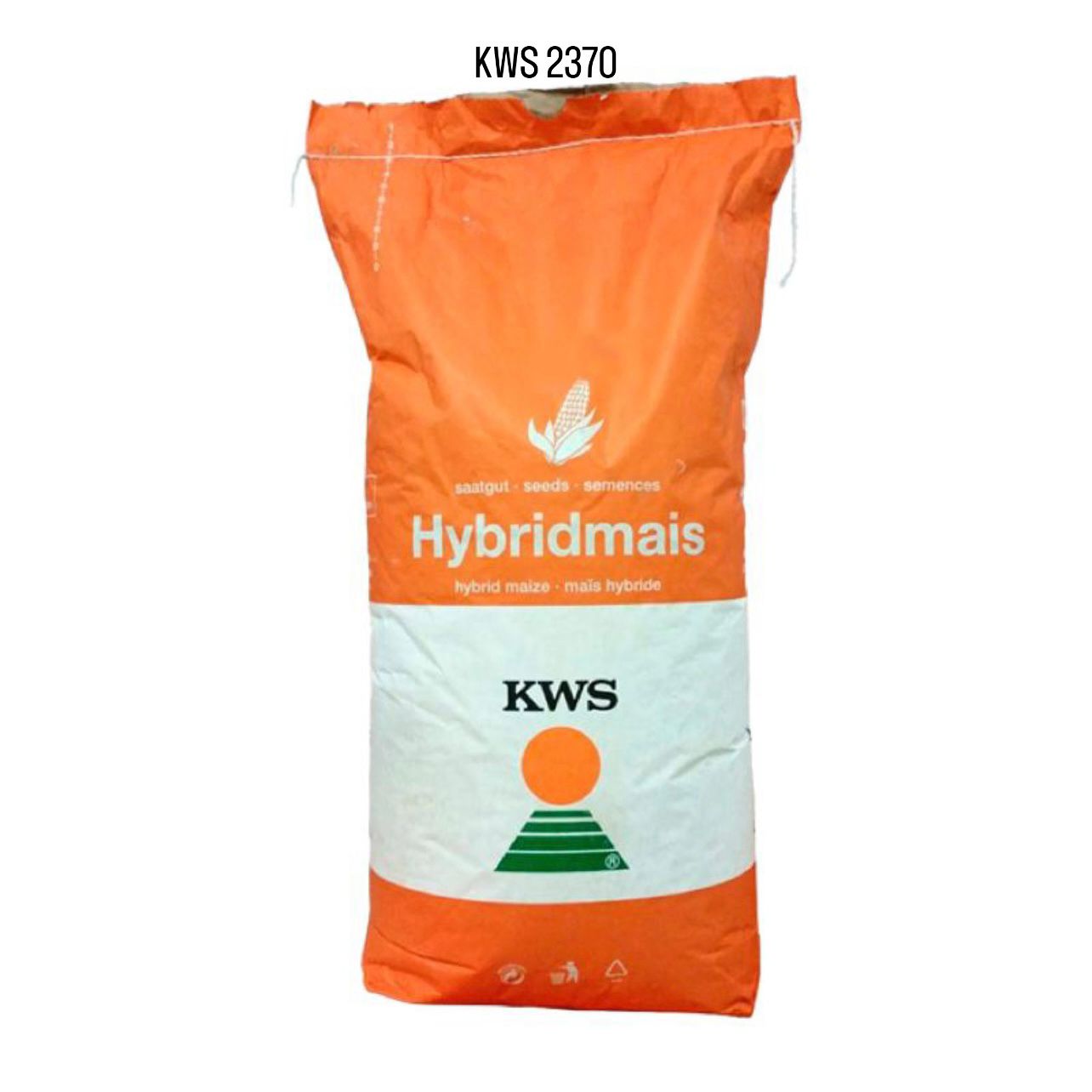 KWS 2370, FAO 290, ClimaControl3, Samanta porumb (sac 50.000 boabe)