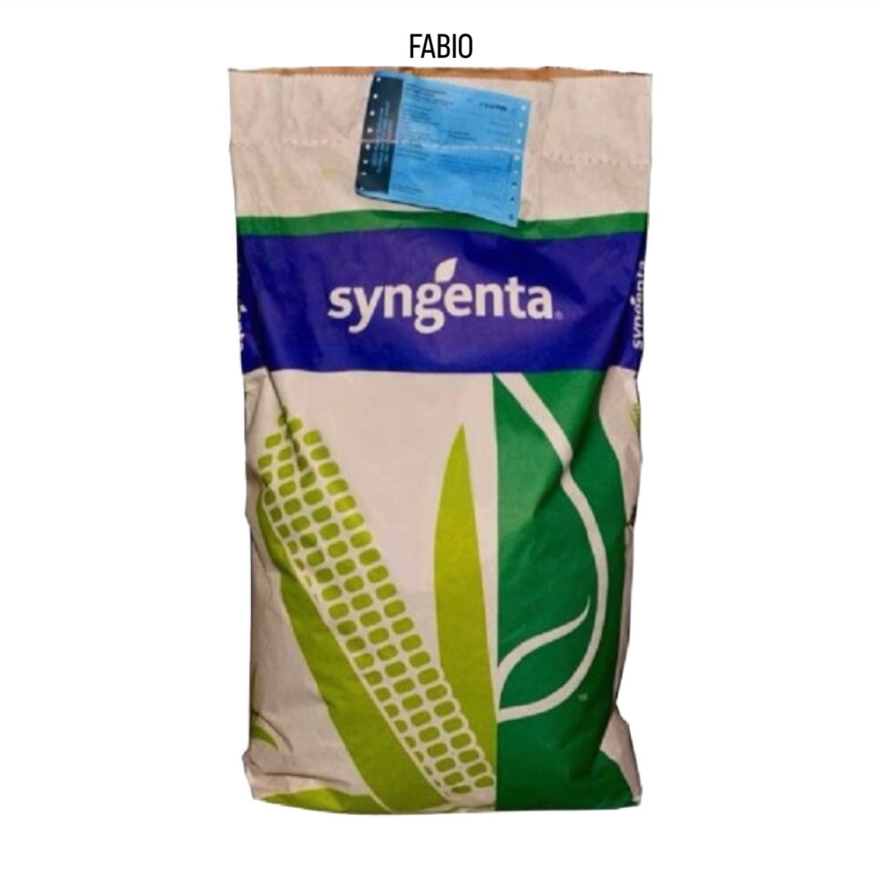 SY FABIO Syngenta, FAO 400 – 440, Samanta porumb, Hibrid Semi-Tardiv (sac 50.000 boabe)