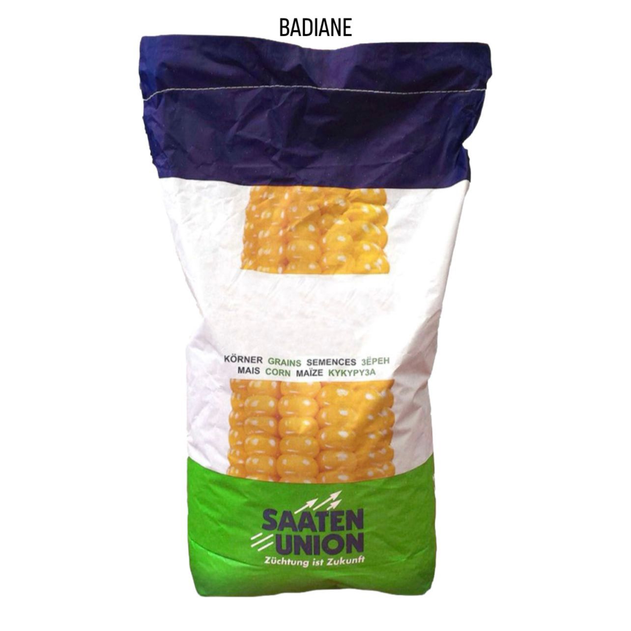 BADIANE Saaten Union, FAO 360, Samanta porumb (sac 50.000 boabe)
