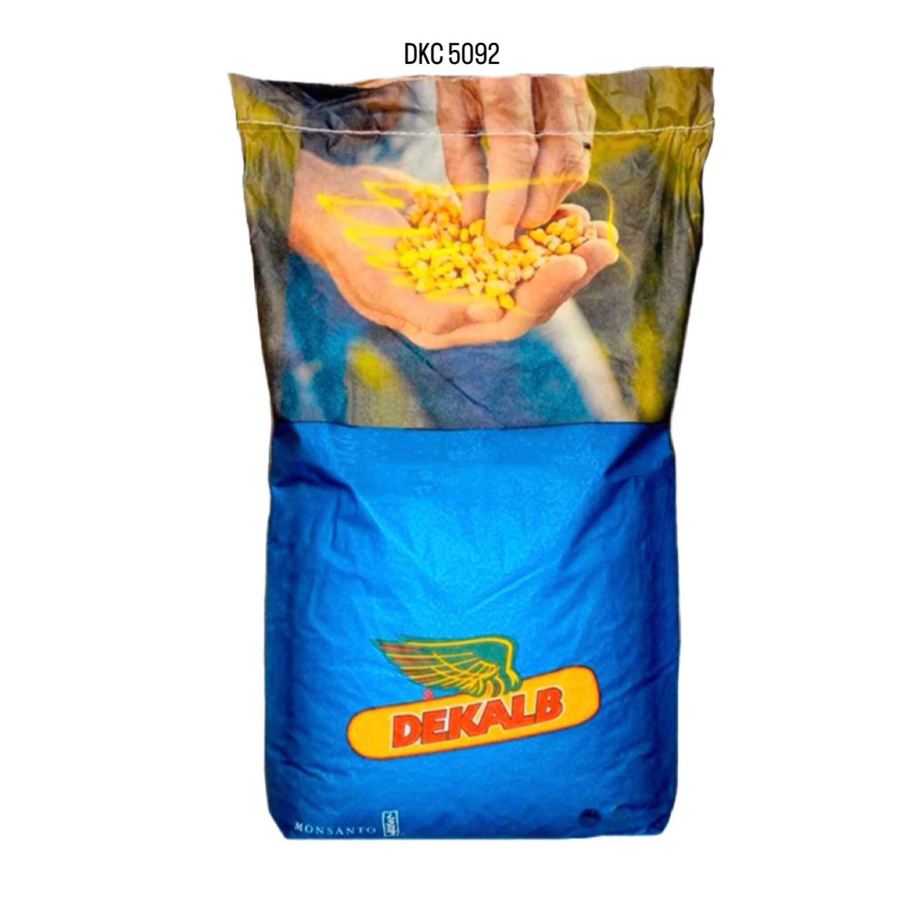 DKC 5092, FAO 350 - 390, Samanta Porumb Dekalb (sac 80.000 boabe)