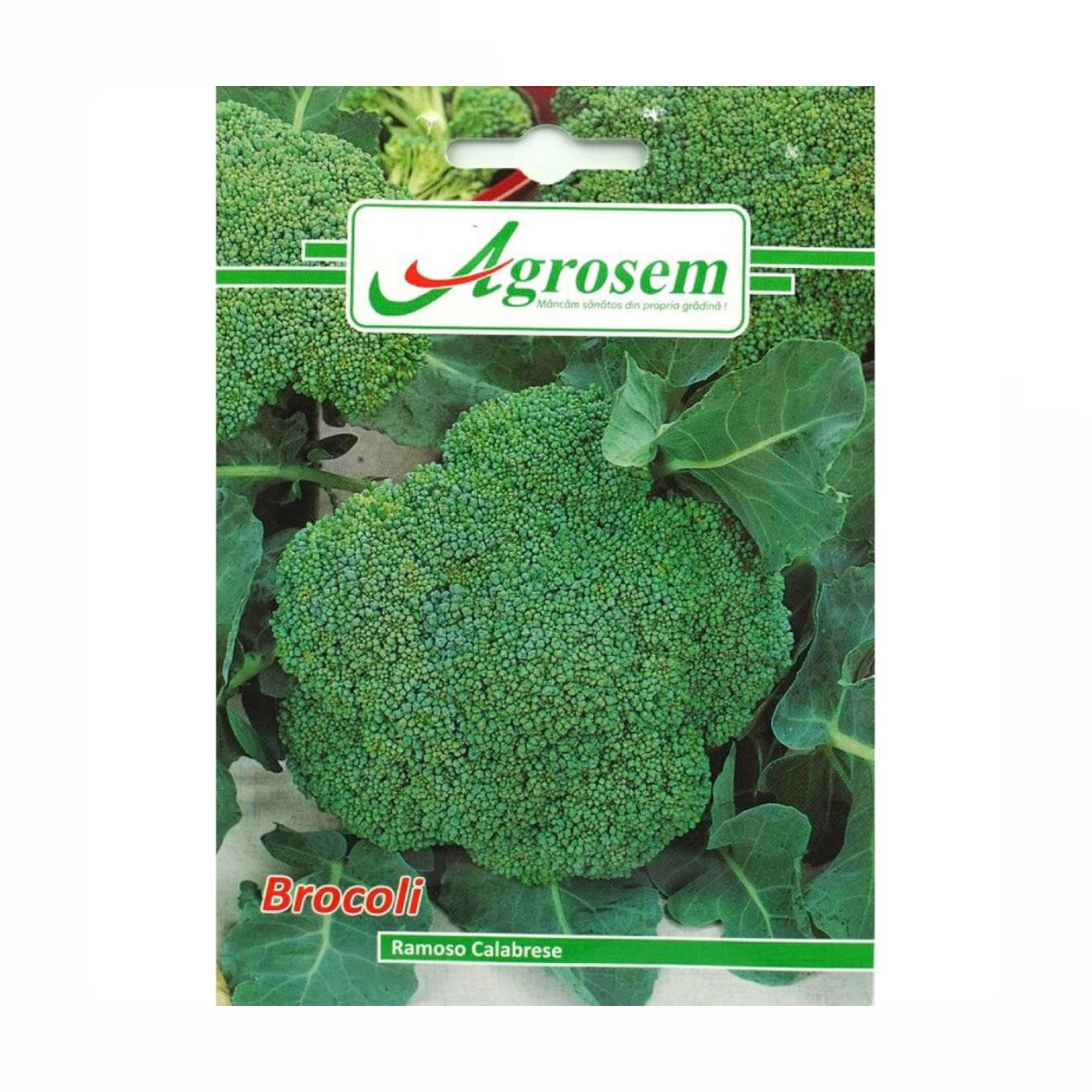 Seminte BROCCOLI, AGROSEM - 5 GR