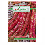 Seminte Fasole Urcatoare BORLOTTO RED, Agrosem - 10 GR