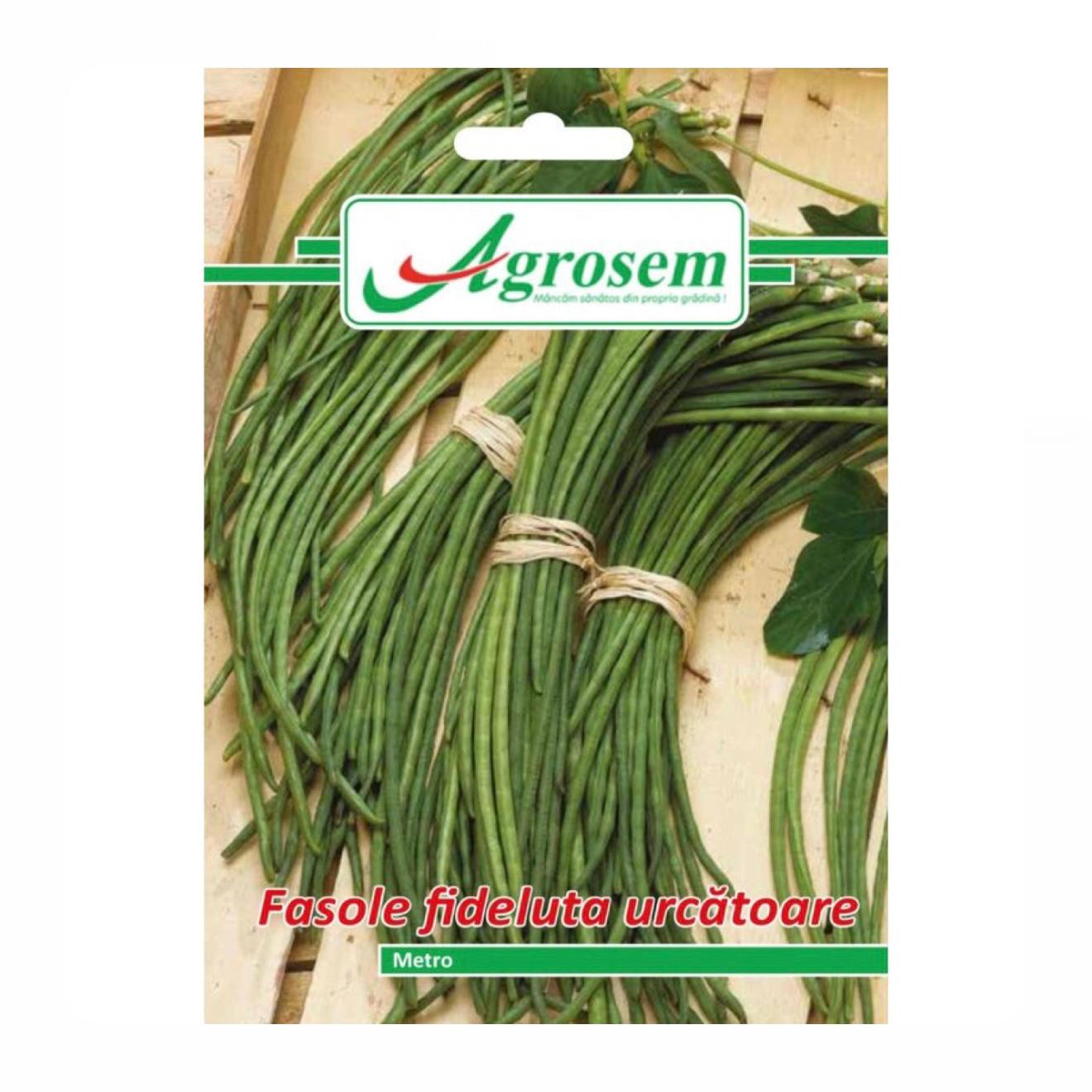 Seminte Fasole Fideluta Urcatoare METRO, Agrosem - 10 GR