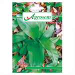 Seminte LEURDA, Agrosem - 0.1 GR, Planta Aromatica Perena