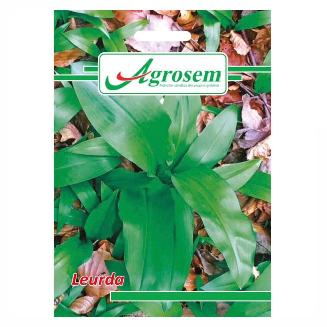 Seminte LEURDA, Agrosem - 0.1 GR, Planta Aromatica Perena