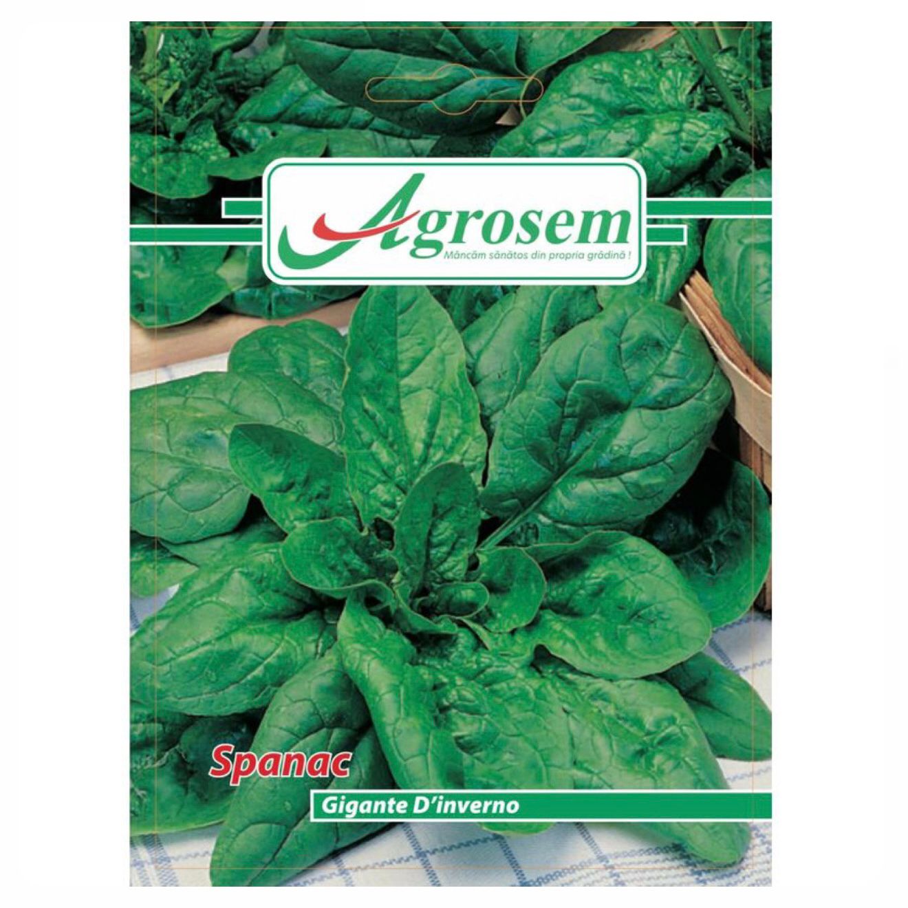 Seminte Spanac GIGANTE D'INVERNO, Agrosem - 18 GR, Soi Tardiv
