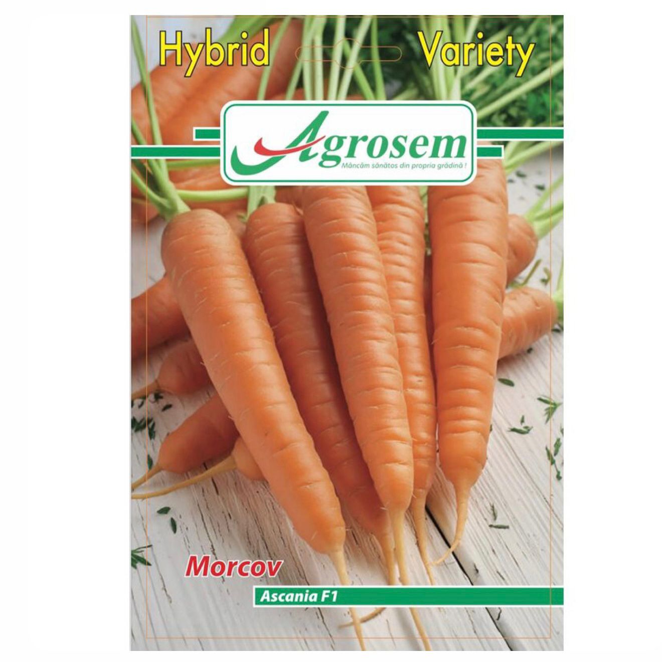 Seminte Morcov ASCANIA F1 (Hibrid), Agrosem - 6 GR