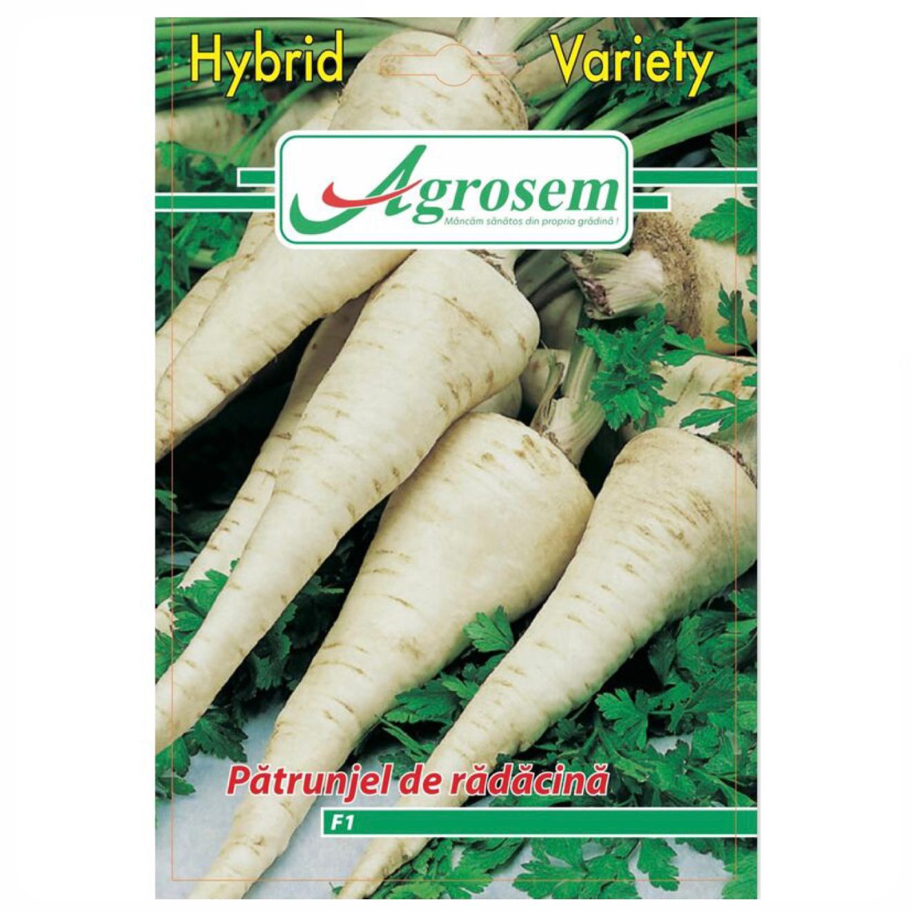 Seminte Patrunjel de Radacina BERLINER F1 (Hibrid), Agrosem - 5 GR