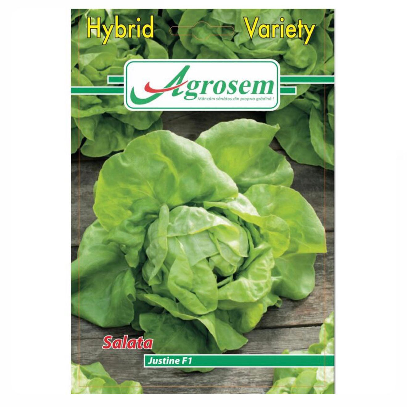Seminte Salata JUSTINE F1 (Hibrid), Agrosem - 4 GR