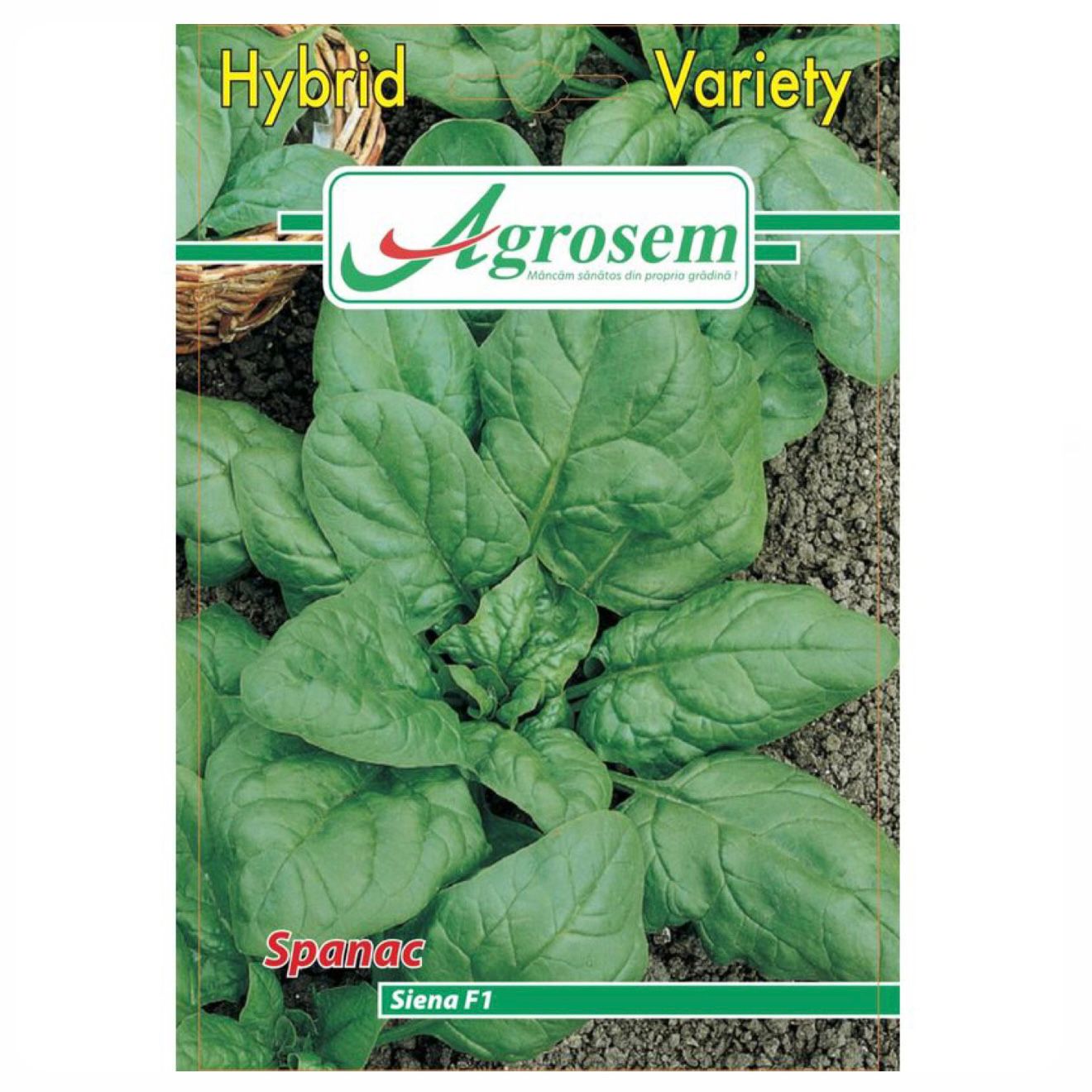 Seminte Spanac SIENA F1 (Hibrid), Agrosem - 8 GR, Hibrid Timpuriu