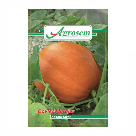 Seminte Dovleac Furajer Atlantic Giant, Agrosem - 1 GR