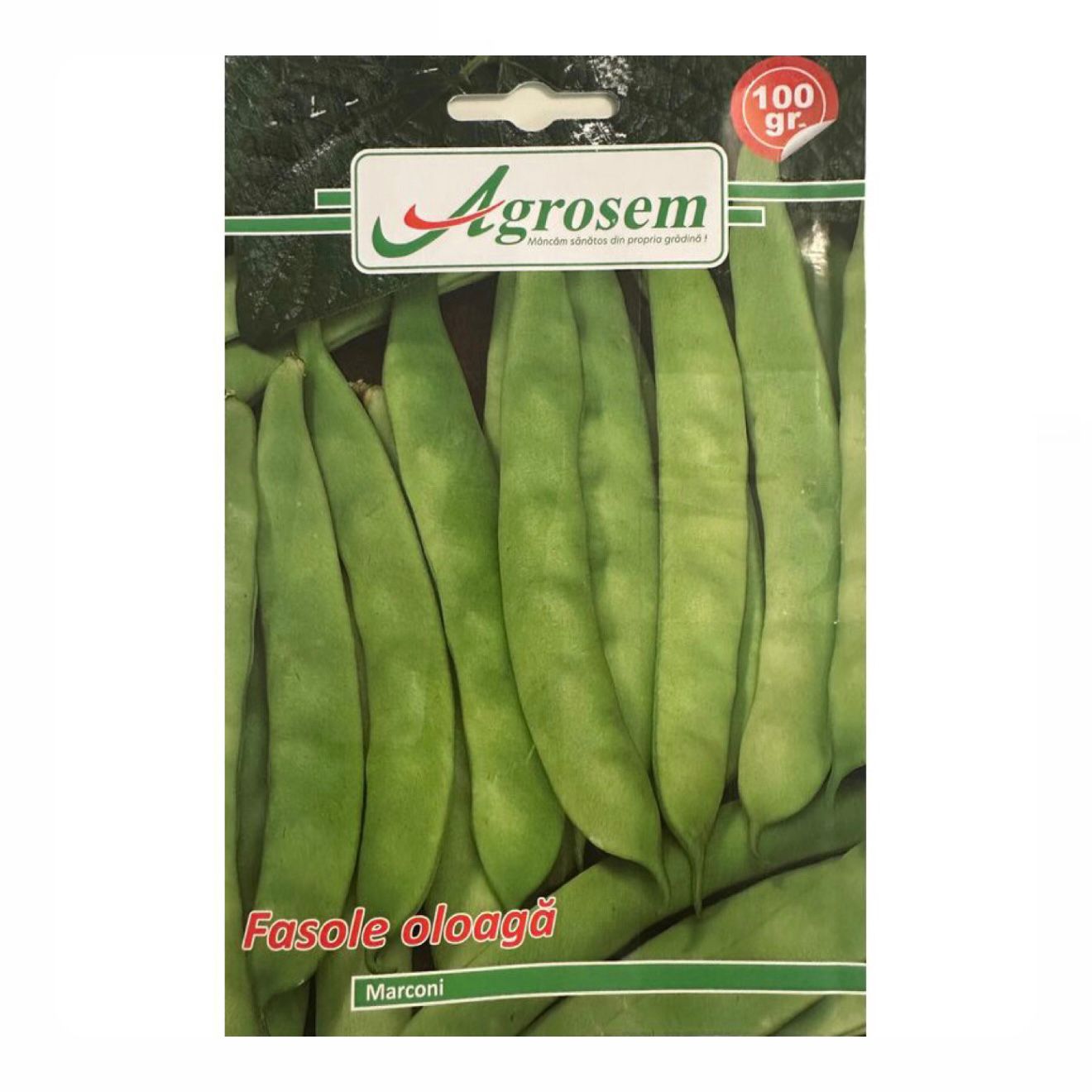 Fasole Oloaga MARCONI, Agrosem - 100 GR