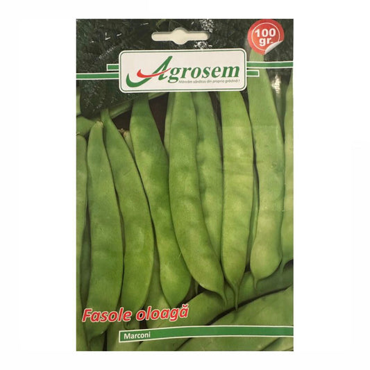 Fasole Oloaga MARCONI, Agrosem - 100 GR