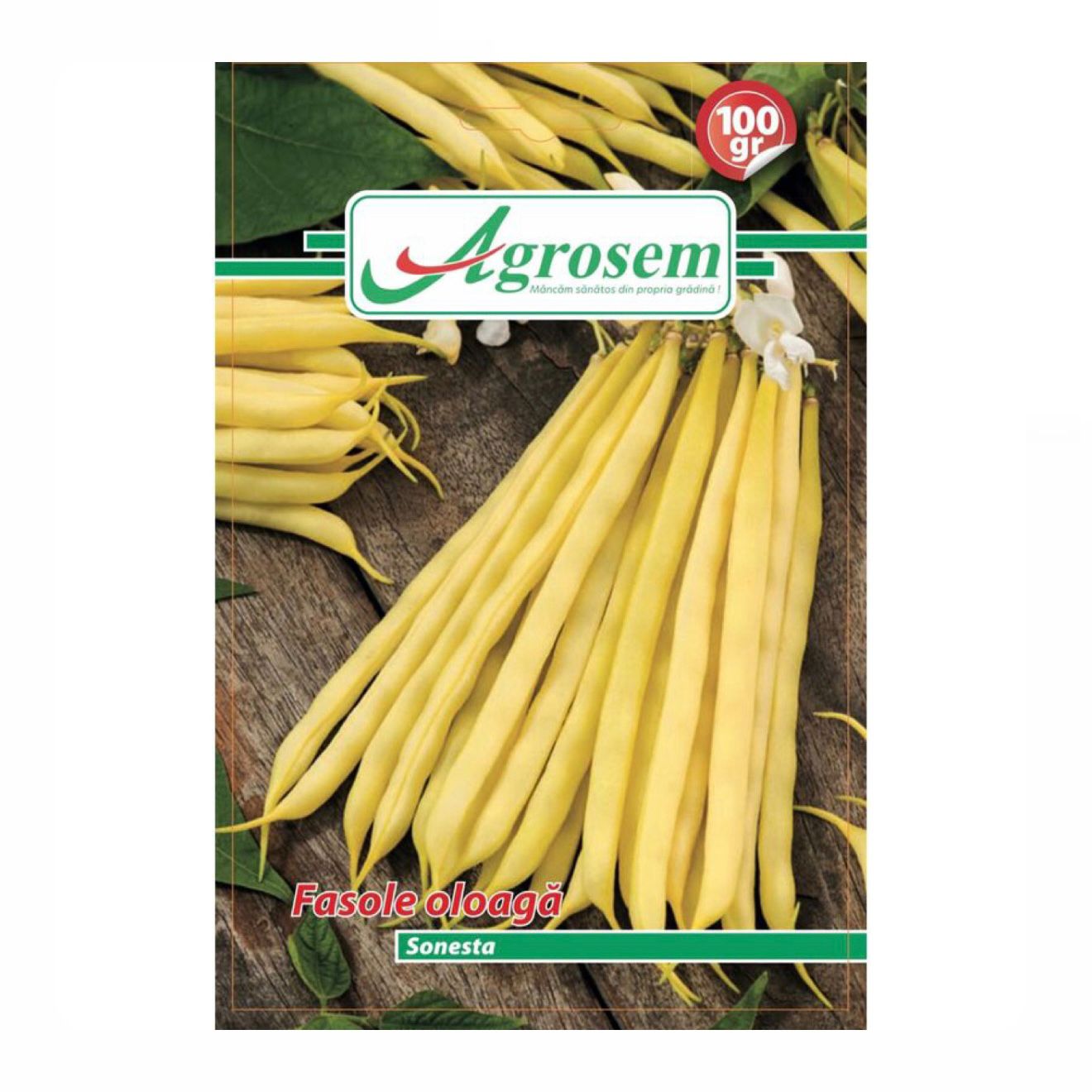 Seminte Fasole Oloaga SONESTA, Agrosem - 100 GR