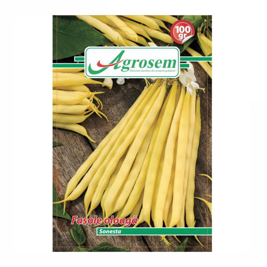 Seminte Fasole Oloaga SONESTA, Agrosem - 100 GR