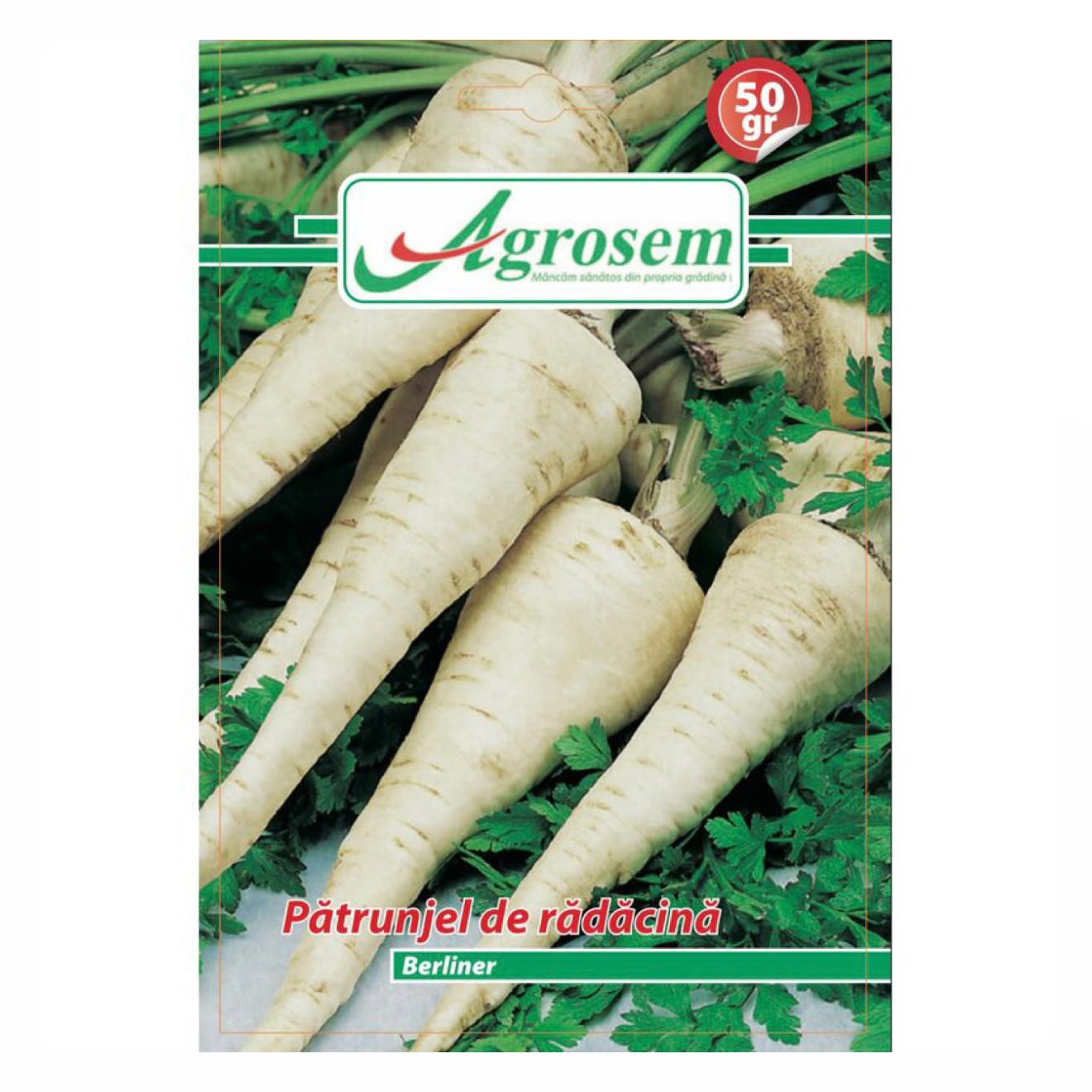 Seminte Patrunjel de Radacina BERLINER, Agrosem - 50 GR