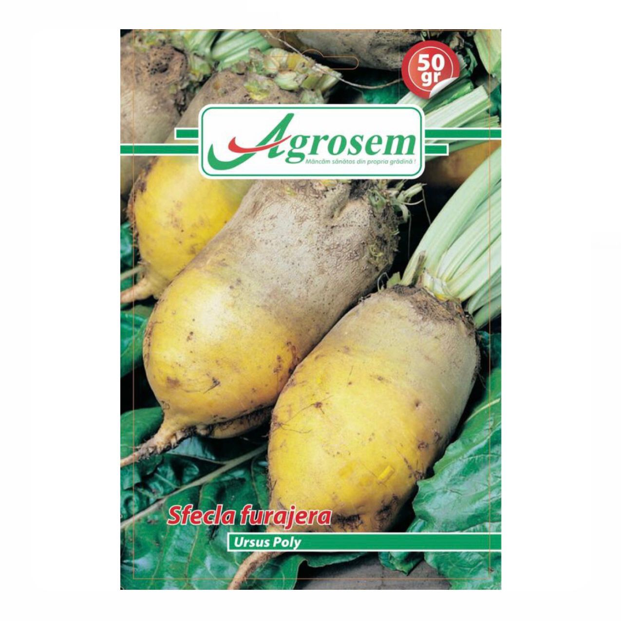 Sfecla Furajera Ursus Poly - 50 GR