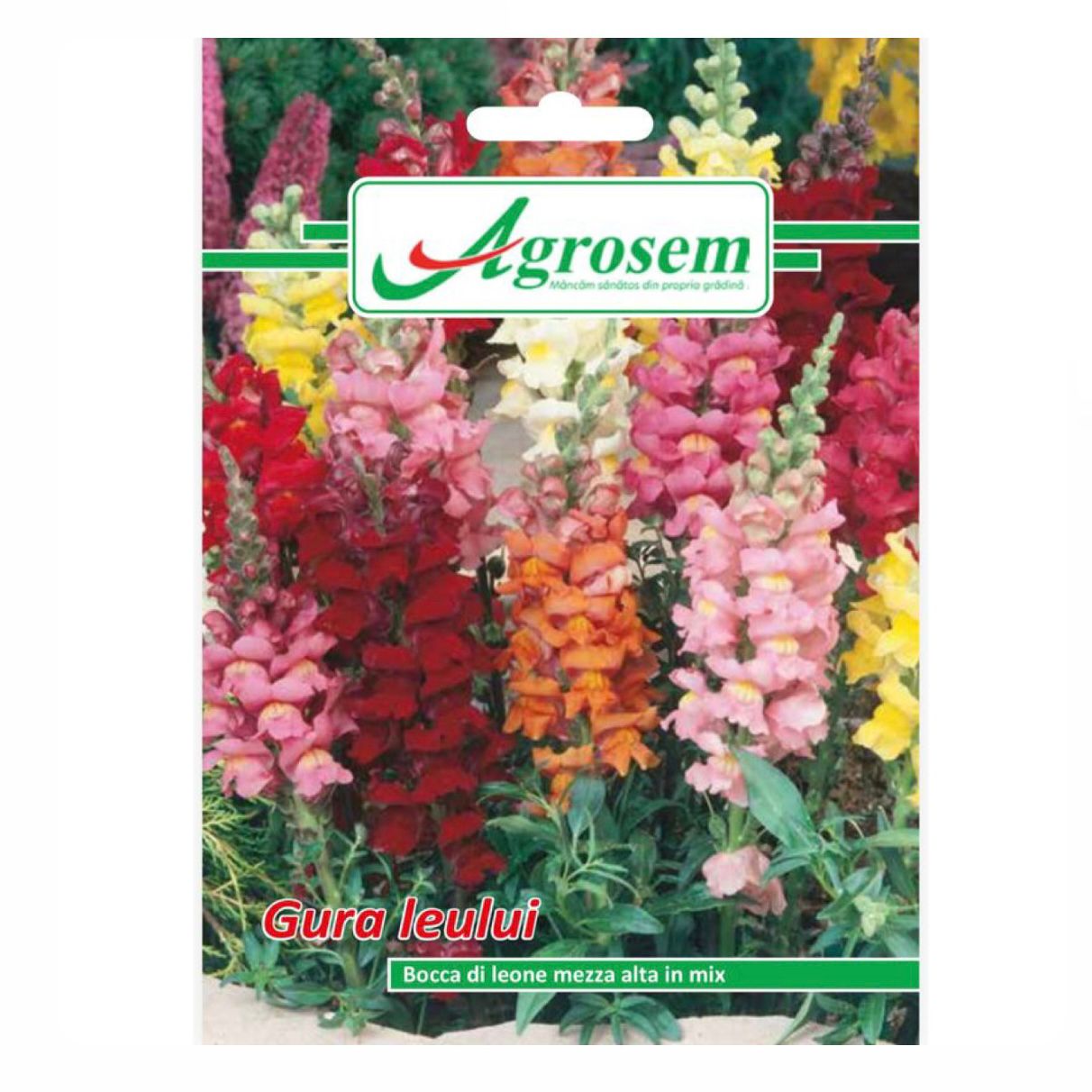 Seminte Flori Gura Leului, Agrosem - 0.5 GR