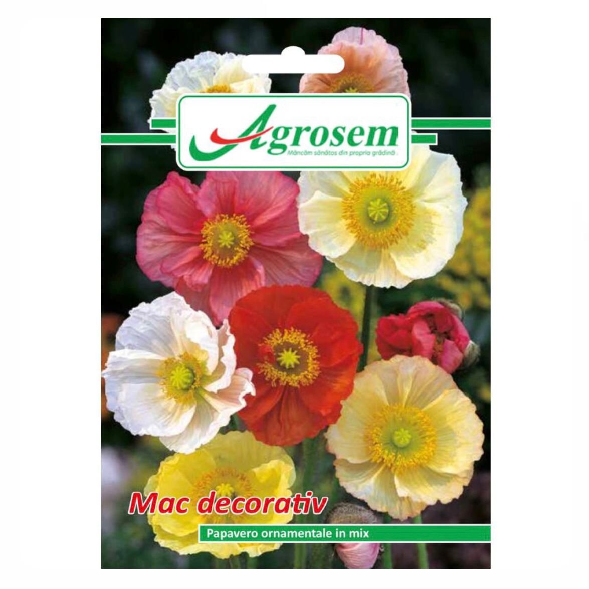 Seminte Flori MAC Decorativ, Agrosem - 1 GR