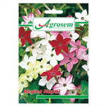 Seminte Flori REGINA NOPTII, Agrosem - 0.5 GR