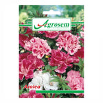Seminte Flori AZALEA, Agrosem - 0.4 GR