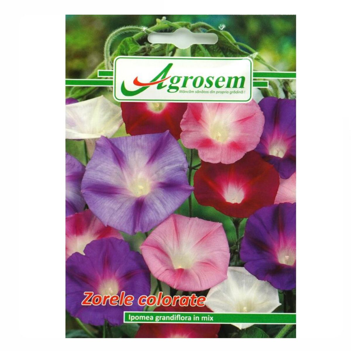 Seminte Flori ZORELE COLORATE, Agrosem - 1 GR