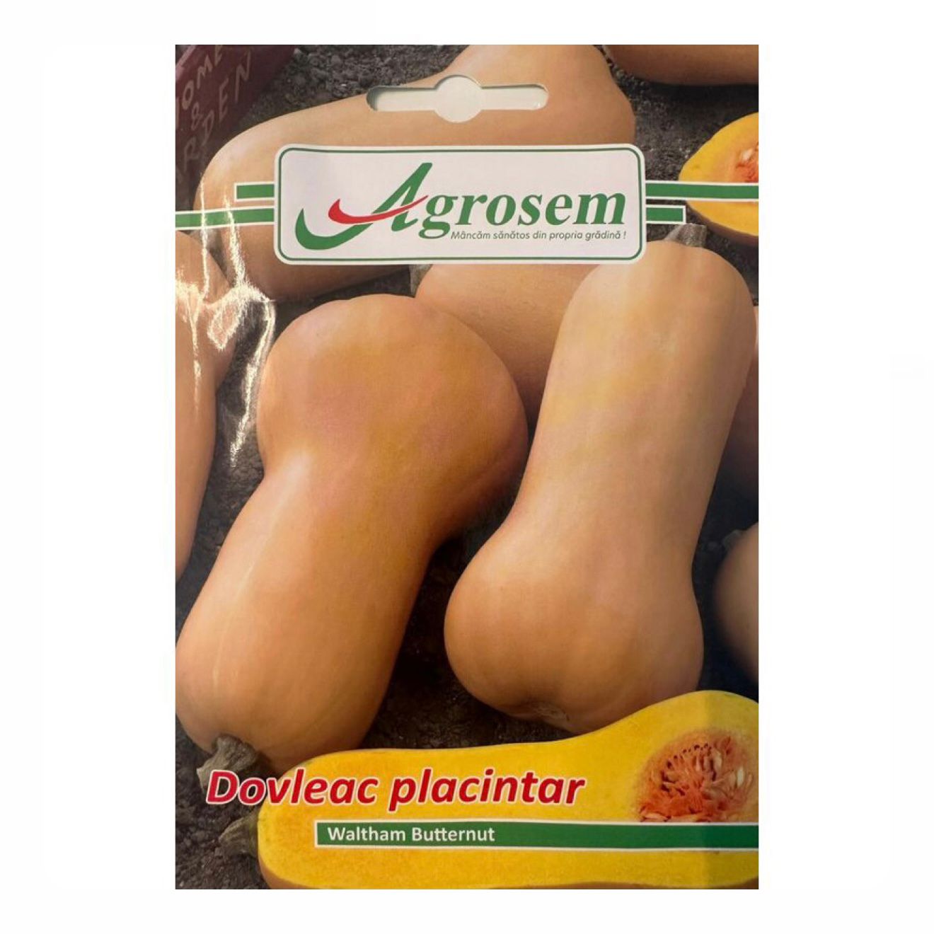 Seminte Dovleac Placintar WALTHAM BUTTERNUT, Agrosem - 2.5 GR