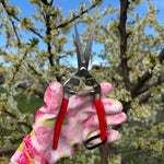 Foarfeca de Gradinarit Profesionala pentru Fructe si Flori - 20 CM,  Gardence, Recolta Fructe, Legume, Vita-de-Vie, Flori
