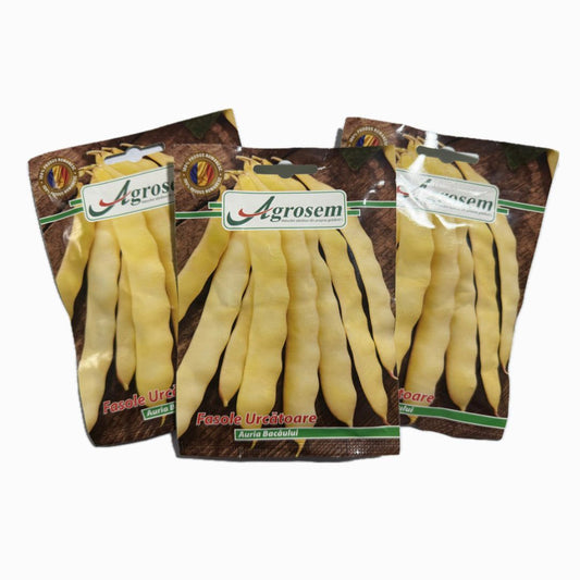 Seminte Romanesti Fasole Urcatoare AURIA BACAULUI, Agrosem - 20 GR, Pastaie Lata, Galbena