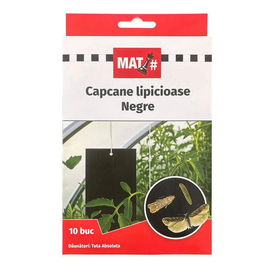 Capcane Lipicioase Negre MAT pentru Tuta Absoluta - Set 10 Placi pentru Monitorizare si Combatere Daunatori 