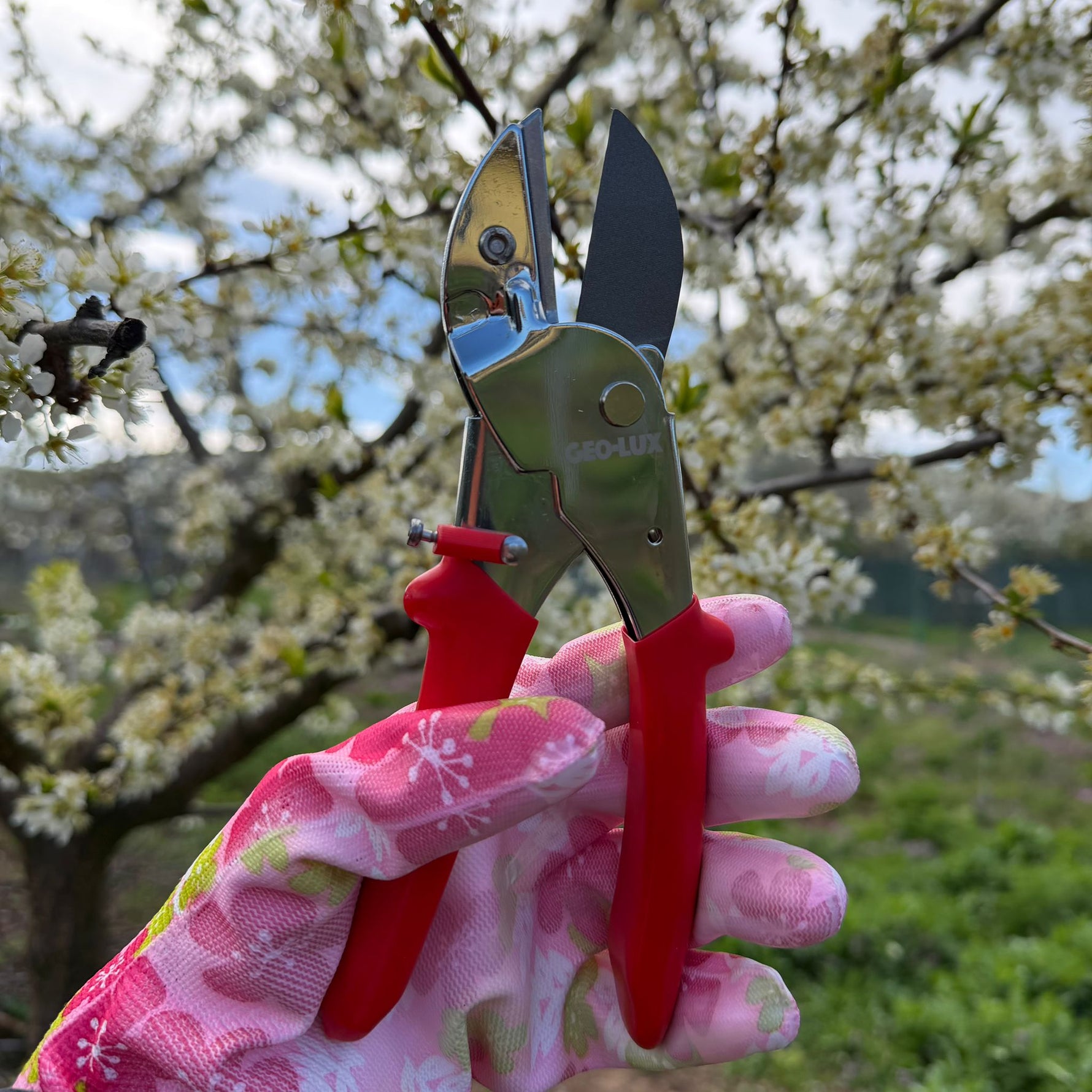 Foarfeca Profesionala pentru Taierea Crengilor - 20 CM, Geo-Lux, Materiale Premium